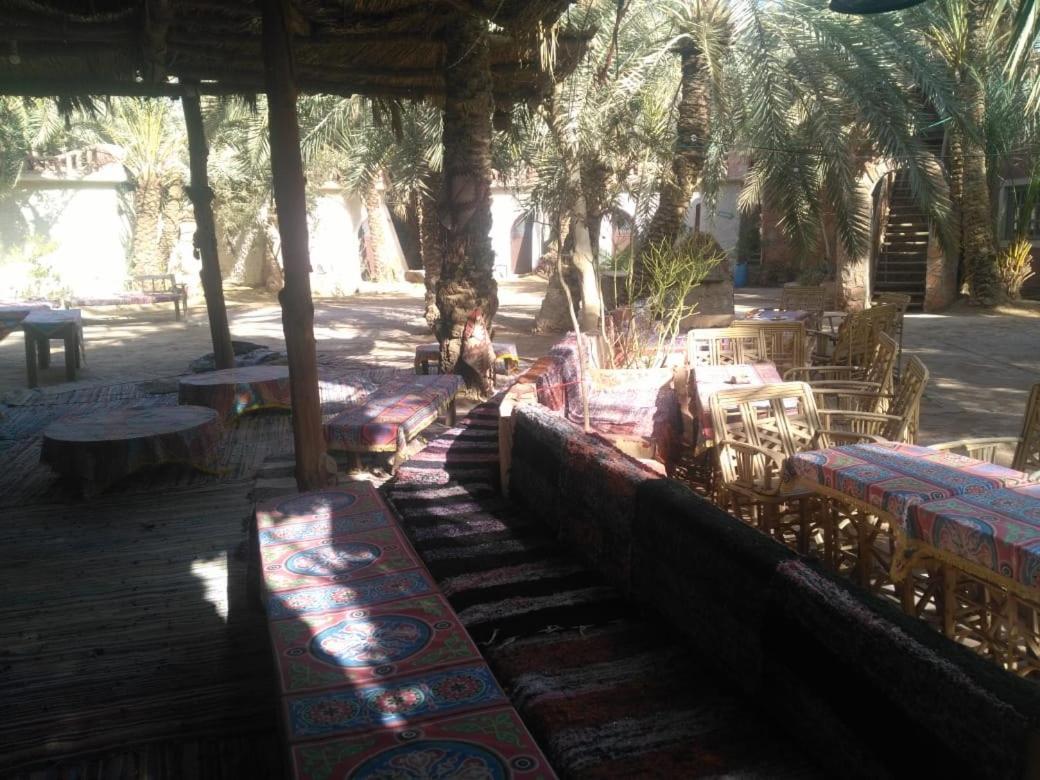 Siwa Paradise Siwa Oasis Exterior photo