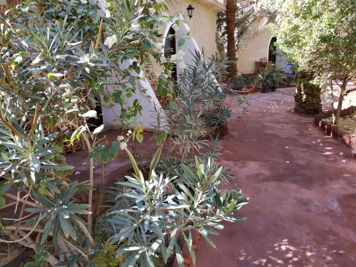 Siwa Paradise Siwa Oasis Exterior photo