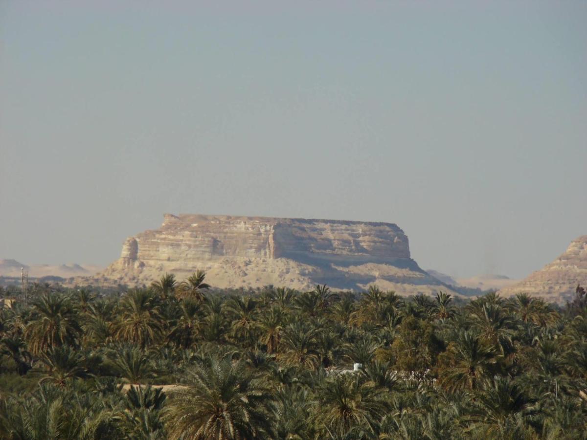 Siwa Paradise Siwa Oasis Exterior photo